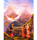 Lord Brahma Appears to Prince Priyavrata