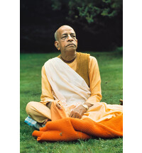 Prabhupada Sitting on Blanket on Grass Chanting Japa