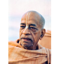 Srila Prabhupada Closeup Photo on Morning Walk