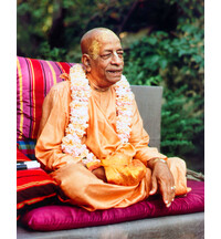 Srila Prabhupada in Detroit, Conversation in Garden